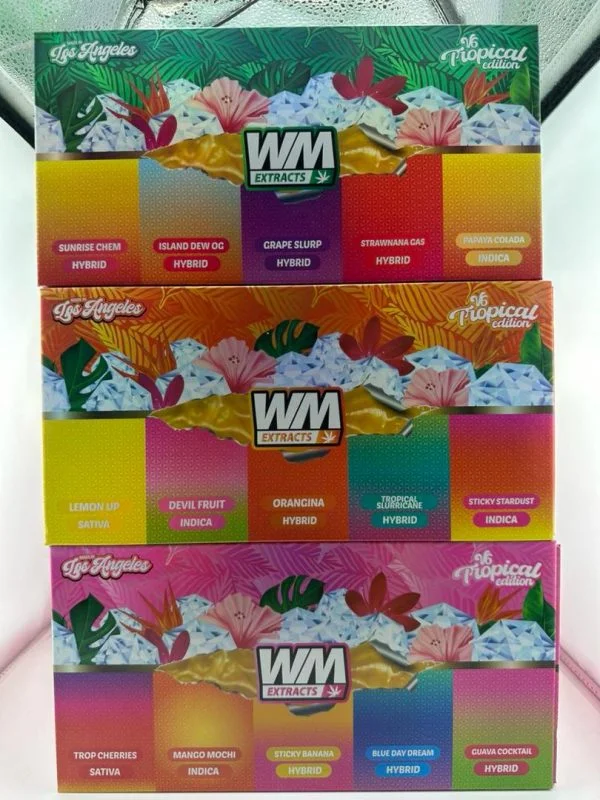 WHOLE MELT EXTRACTS 2G DISPOSALE - Image 4