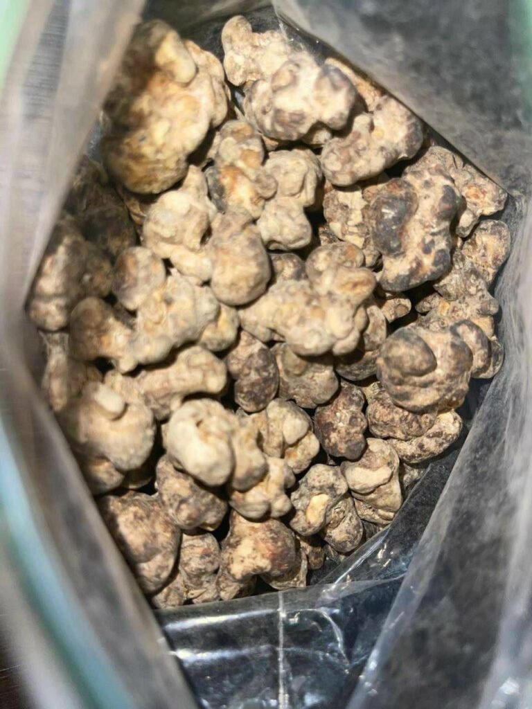 Truffle Mushroom - Image 2